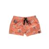 Beach & Bandits Shello! Swimshort