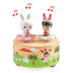 Djeco Magnetisch Muziekdoosje Garden Melody