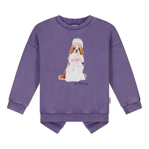Call Me Frankie Fluffy Dog Sweater Purple