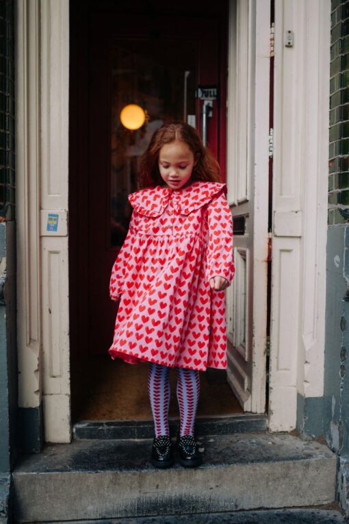 Daily Brat Adore Dress Rosy Rebel