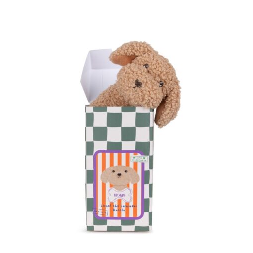 B.T. Chaps Lionel the Labrador rattle - Afbeelding 3
