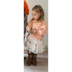 Dilys set 5