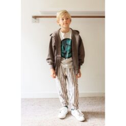 Zeger Set 13