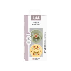 Bibs Studio Colour 2 pack Ladybug Sage Mix