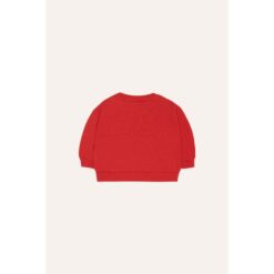 The Campamento Reading Lion Baby Sweatshirt