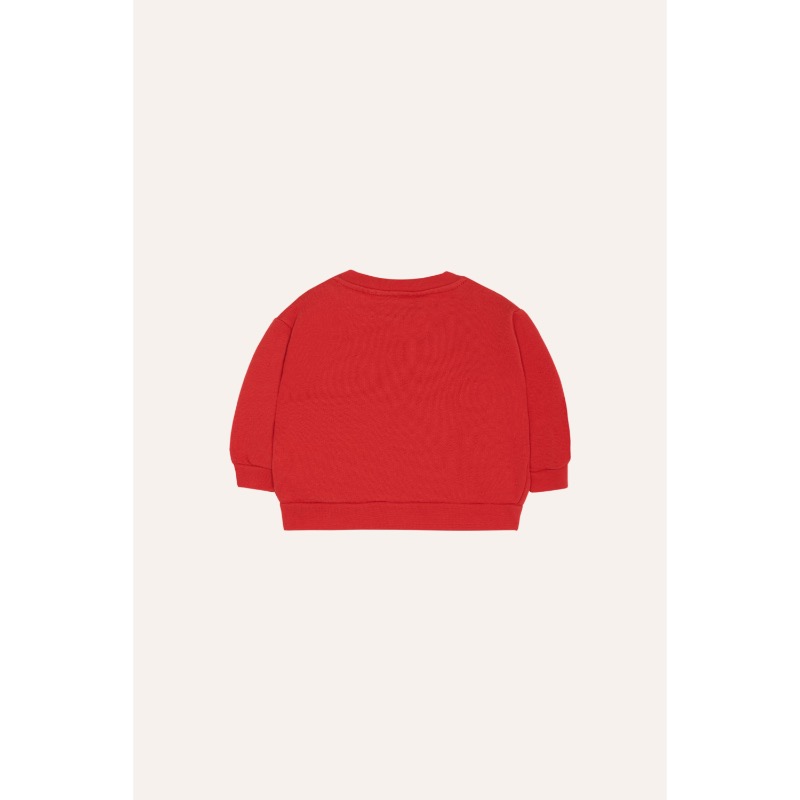 The Campamento Reading Lion Baby Sweatshirt