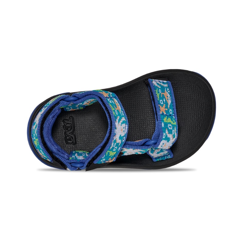 Teva Hurricane XLT 2 Ocean Creatures Dazzling Blue - Afbeelding 2