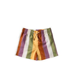 Salted Stories - Multi Stripe Swim Shorts