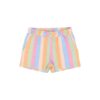 THE NEW Trace Shorts Multi Striped