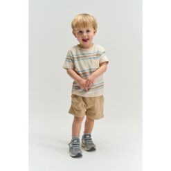 THE NEW Theodor Tee Multi Striped