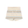 THE NEW Theodor Shorts Multi Striped