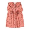 piupiuchick long dress pink little flowers