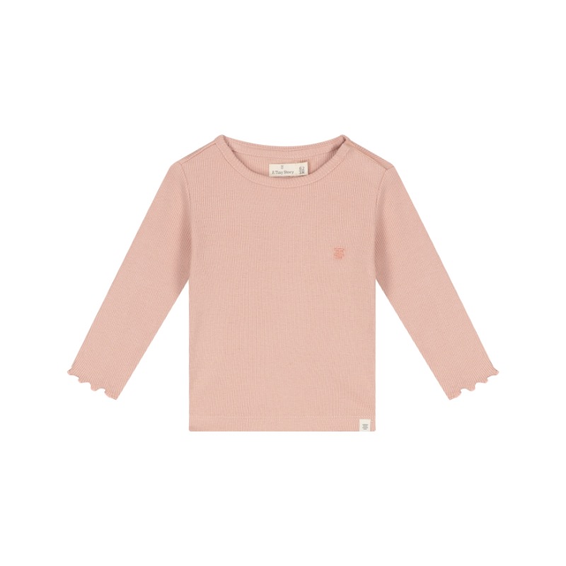 A Tiny Story baby shirt longsleeve Old Rose TIN26429637