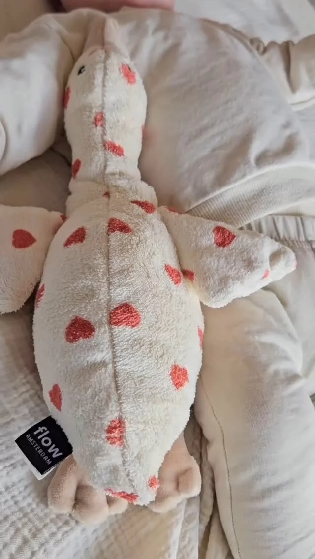 Nieuw: de limited edition hartslagknuffel van @flow.amsterdam met hartjes ❤️❤️

Hartslagknuffels, je hebt er vast wel eens van gehoord, maar misschien weet je niet precies waarvoor ze zijn? Dat vertellen we je graag! 

Het geluid van white noise (witte ruis) en een hartslag doet je baby denken aan de baarmoeder, waardoor hij of zij zich veilig en geborgen voelt. Het kan je baby helpen ontspannen en kalmeren.

Witte ruis is een rustgevend geluid dat baby’s helpt. Net zoals het geluid van een hartslag doet dit hun denken aan de baarmoeder. Deze natuurlijke geluiden synchroniseren de hartslagen, waardoor de baby rustiger wordt en beter in slaap valt. Het is een effectieve techniek om je baby te kalmeren en te helpen slapen. 

Bovendien filtert White noise geluiden voor baby’s, waardoor het een rustig effect heeft wanneer zij moeten slapen. Het dempt plotselinge herrie en harde geluiden, waardoor de baby minder snel wakker wordt. Het maskeert storende geluiden, stimuleert ontspanning en verbetert slaapkwaliteit. De witte ruis zorgt voor een constante rust in de slaapkamer van je kindje. White noise werkt vooral goed tussen 0 en 1,5 jaar, maar je kan het ook later nog af en toe toepassen, bijvoorbeeld op vakantie.

Een hartslagknuffel zorgt ervoor dat je kindje rustig in slaap valt. Wanneer je huid-op-huidcontact hebt, zal je kindje ook regelmatig het geluid van een hartslag herkennen, dit zorgt voor een rustgevend gevoel. De hartslagknuffel heeft hetzelfde geluid als de hartslag die je kindje in de baarmoeder hoort, en wanneer je huid-op-huidcontact hebt.

Bij de hartslagknuffels kun je kiezen voor verschillende rustgevende geluiden en melodieën (witte ruis, hartslag, waterval, ademhaling en een muziekje). Met de timer kun je instellen na welke tijd de knuffel automatisch uitschakelt en wanneer je kindje begint te huilen, zal de knuffel automatisch weer aangaan. Zo hoeft het muziekdoosje niet de hele nacht aan te staan en wordt je kindje niet afhankelijk van het geluid van de hartslagknuffel.

#hartslagknuffels #flowamsterdam #advies #littledepartmentstore #rotterdam #cadeautip #baby #babycadeau #shoplokaal