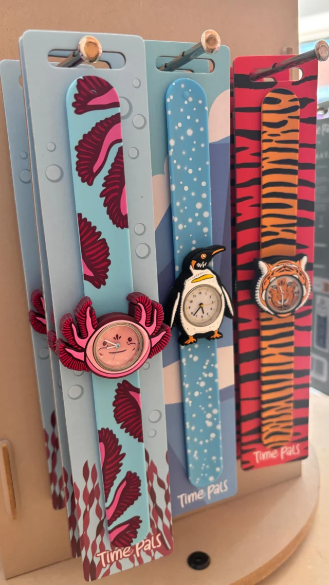 Nieuwe horloges! Vorige week gespot op de beurs en nu al binnen 🥳
Leuke dierenhorloges die je om je pols “slaat”. Superhandig én leuk! 
Wat ons betreft nu al dé cadeautip 😃

#kinderhorloge #dierenhorloge #slapwatch #klaphorloge #cadeautip #mavadesign #littledepartmentstore #littledepartmentstorerotterdam 
#kinderkleding #online #onlineshopping #kinderkledingwinkel #kleiwegkwartier #hillegersberg #hillegersbergzuid #rotterdam #kinderwinkel #kinderwinkelrotterdam
#kidsfashion #kidsstyling #shoplokaal #shoplokaalonline