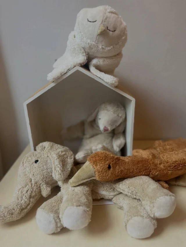 NIEUW: de knuffels van Senger Naturwelt! 
We krijgen op dit moment niet alleen heel veel nieuwe wintercollecties (kleding) binnen, maar vanaf nu verkopen we ook de prachtige handgemaakte knuffels van @senger_naturwelt in onze winkel. De knuffels zijn gemaakt van natuurlijk materialen: biologisch katoen en gevuld met wol. In sommige knuffels zit zelfs een pittenzakje zodat je je knuffel kunt gebruiken als warmtekussen (bij krampjes of koude nachten) of als verkoeling tijdens warme nachten. 

#sengernaturwelt #sengerknuffels #warmteknuffels #littledepartmentstore #kinderwinkelrotterdam